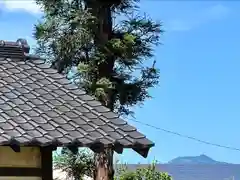 竹室神社の景色