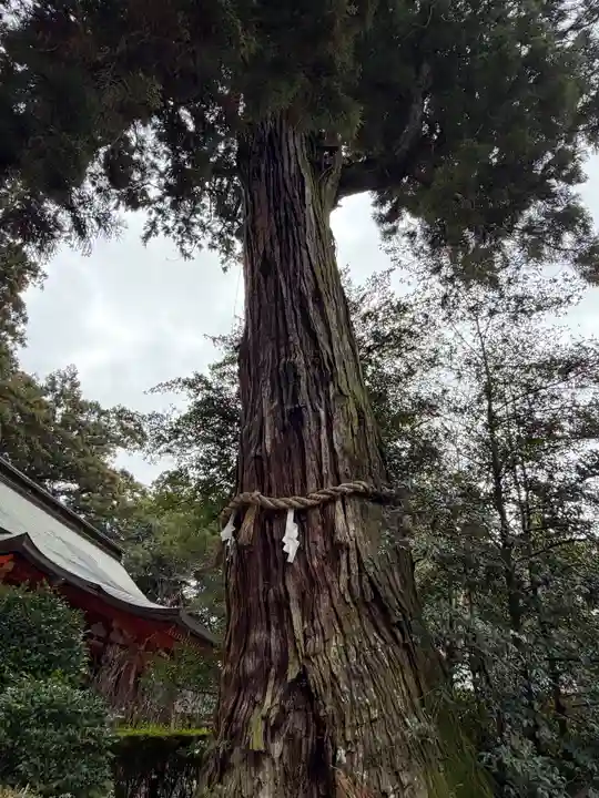 香取神宮(千葉県)