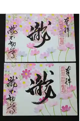 秋季限定、秋桜の見開きの御朱印。
