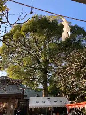 荏柄天神社(神奈川県)