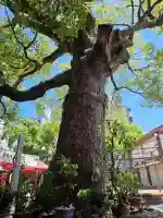 豊中えびす神社(豊中戎神社)(大阪府)