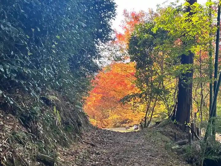 弘川寺(大阪府)