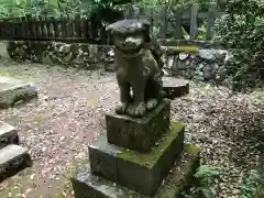 養父神社の狛犬