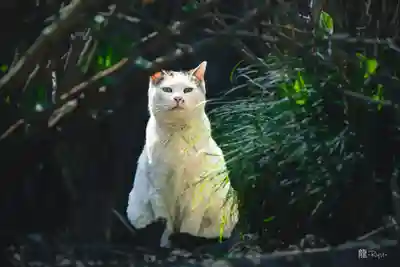 今市報徳二宮神社(栃木県)