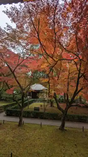 真正極楽寺（真如堂）(京都府)