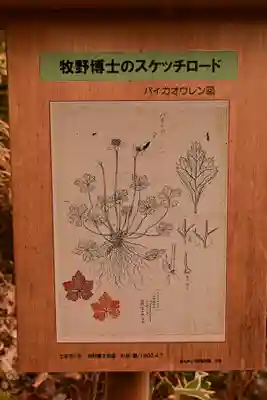 金峰神社(高知県)