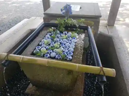 大鳥神社の手水舎