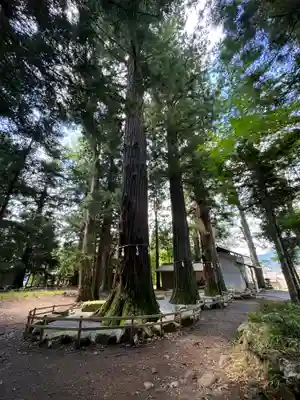 河口浅間神社(山梨県)