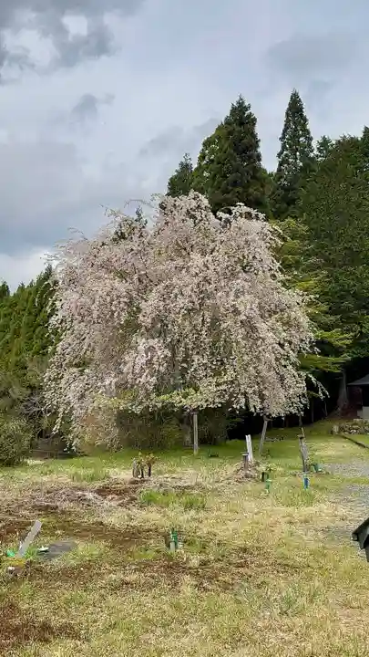 福徳寺(京都府)