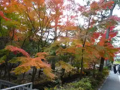 鶴岡八幡宮(神奈川県)