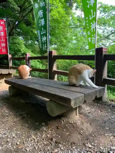 唐澤山神社の動物