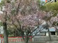 生田神社(兵庫県)