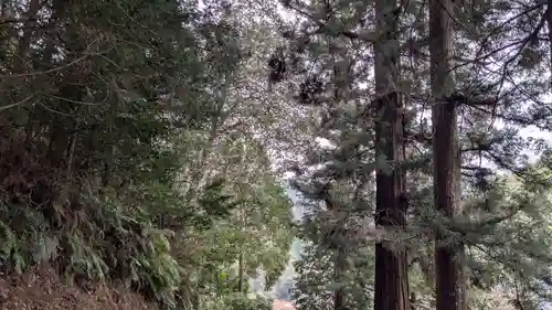 天一神社(愛媛県)