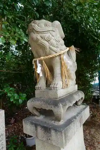 亀之森住吉神社の狛犬