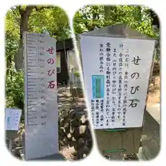 手稲神社の歴史