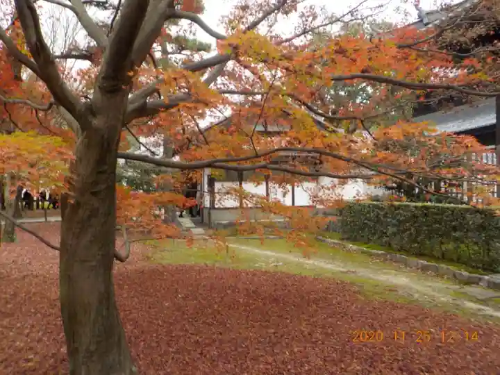 東福禅寺(東福寺)(京都府)