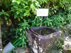 金峰神社の手水