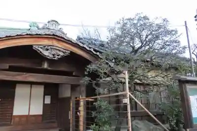西新井大師総持寺の本殿・本堂