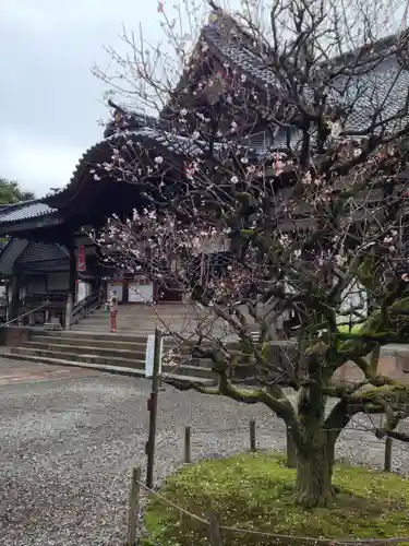 尾山神社(石川県)