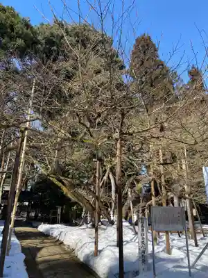伊佐須美神社のその他建物