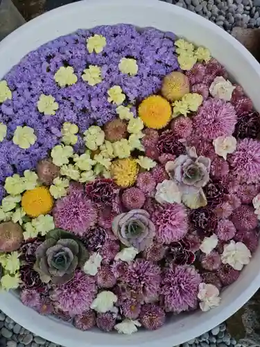 法輪寺の手水舎