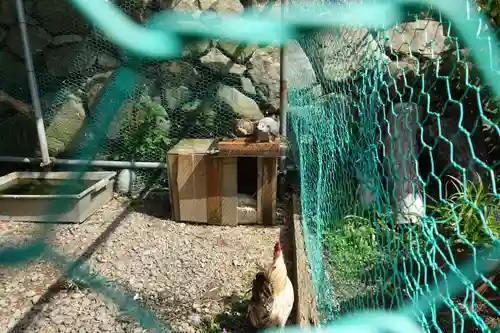 粉河産土神社（たのもしの宮）の動物