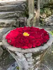 丹生都比売神社(和歌山県)