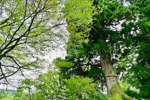 竹之高地不動社(新潟県)