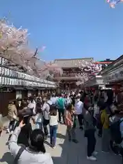 浅草寺(東京都)