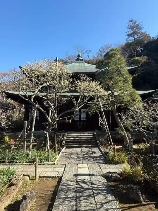 瑞泉寺の{uncategorized: "未分類", other: "その他", undefined: "問題あり", building: "その他建物", grave: "お墓", sacred_gate: "鳥居", guardian: "狛犬", statue: "像", buddha: "仏像", history: "歴史", nature: "自然", garden: "庭園", animal: "動物", pagoda: "塔", temizu: "手水舎", mountain_gate: "山門・神門", sanctuary: "本殿・本堂", subordinate: "末社・摂社", art: "芸術", scenery: "景色", jizo: "地蔵", ema: "絵馬", goshuin: "御朱印", omikuji: "おみくじ", items: "授与品その他", amulet: "お守り", goshuincho: "御朱印帳", eats: "食事", festival: "お祭り", votive_dance: "神楽", shichigosan: "七五三参", wedding: "結婚式", experience: "体験その他", initially: "初詣", around: "周辺", anti_infection: "感染症対策"}