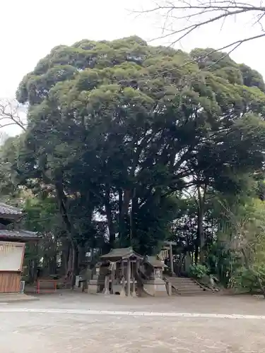 竹内神社(千葉県)