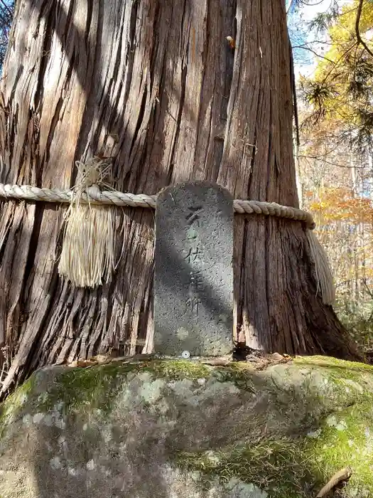 戸隠神社火之御子社の建物その他