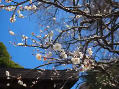 荏柄天神社(神奈川県)