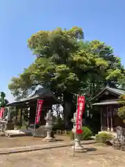 南蔵院(埼玉県)