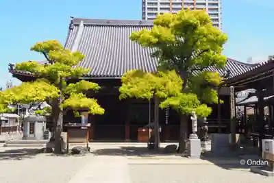 本興寺(兵庫県)