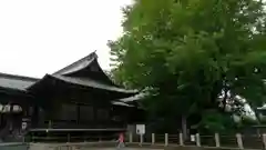 葛飾八幡宮の本殿