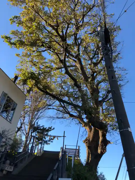 住吉神社の自然