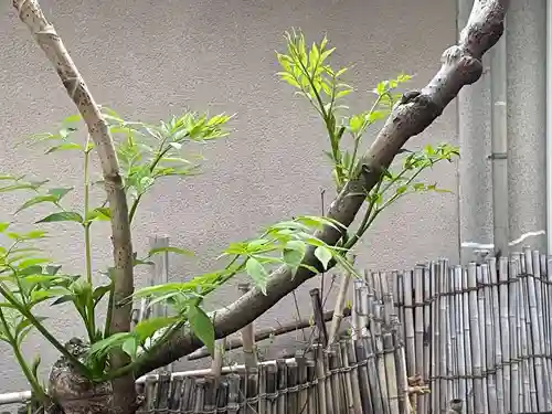 遠照山 光明寺（尼崎大仏）(兵庫県)