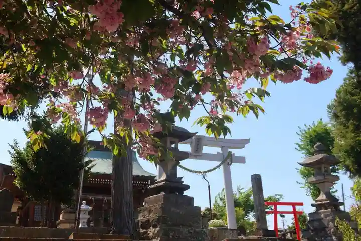 熊野福藏神社の景色