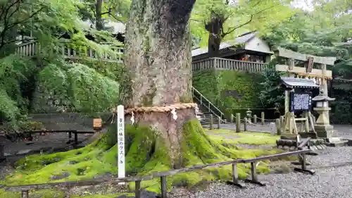 事任八幡宮(静岡県)