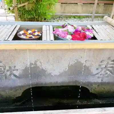 上野東照宮の手水舎