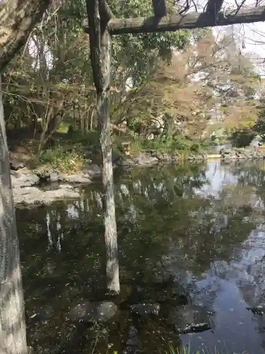 富士山本宮浅間大社(静岡県)