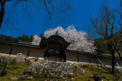 常照皇寺の山門・神門
