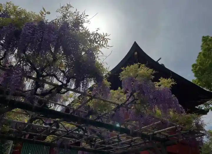 神田神社(神田明神)(東京都)