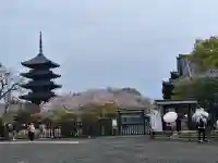 東寺(教王護国寺)の{uncategorized: "未分類", other: "その他", undefined: "問題あり", building: "その他建物", grave: "お墓", sacred_gate: "鳥居", guardian: "狛犬", statue: "像", buddha: "仏像", history: "歴史", nature: "自然", garden: "庭園", animal: "動物", pagoda: "塔", temizu: "手水舎", mountain_gate: "山門・神門", sanctuary: "本殿・本堂", subordinate: "末社・摂社", art: "芸術", scenery: "景色", jizo: "地蔵", ema: "絵馬", goshuin: "御朱印", omikuji: "おみくじ", items: "授与品その他", amulet: "お守り", goshuincho: "御朱印帳", eats: "食事", festival: "お祭り", votive_dance: "神楽", shichigosan: "七五三参", wedding: "結婚式", experience: "体験その他", initially: "初詣", around: "周辺", anti_infection: "感染症対策"}