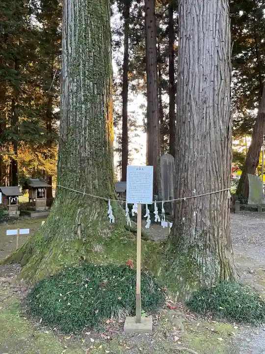 大神神社(栃木県)