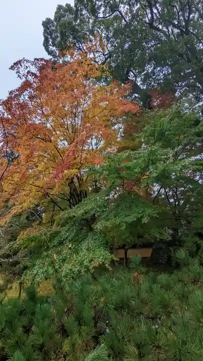 十輪寺(京都府)
