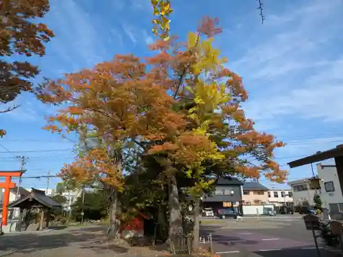 津島神社(宮城県)
