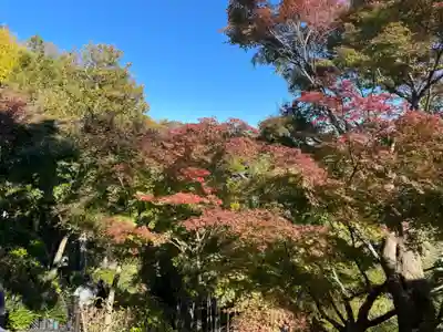 長谷寺(神奈川県)