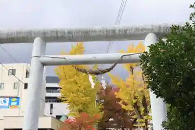 阿邪訶根神社の鳥居